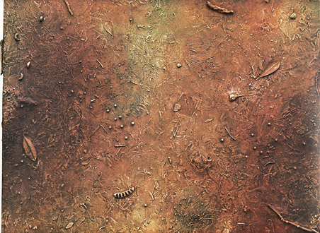 FIELD-II-